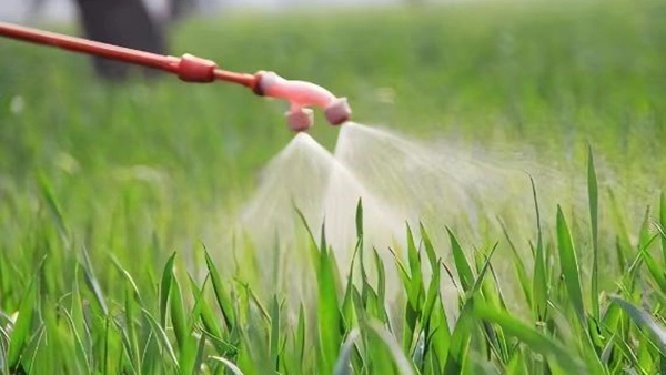 Φυτοφάρμακα και λιπάσματα